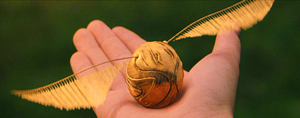 The Golden Snitch